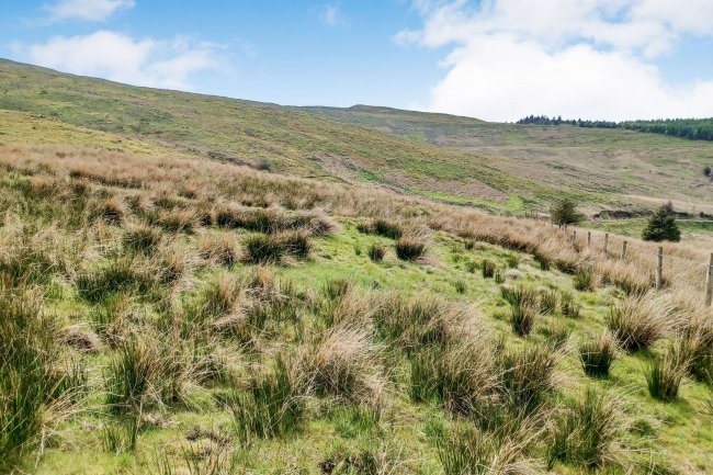 Land lying to the south of Corowen, Machynlleth, Ceredigion SY20 8PL 9