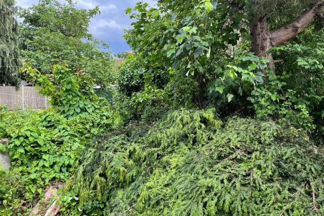 430 Ripple Road, Barking, Essex, IG11 9RU 3