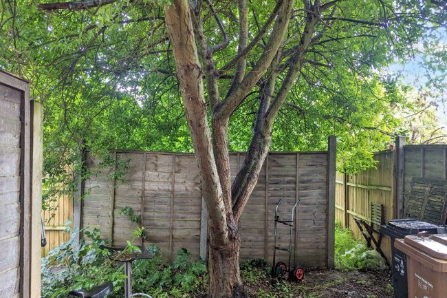 1A Robinhood Close, Mitcham, Surrey, CR4 1JN 4