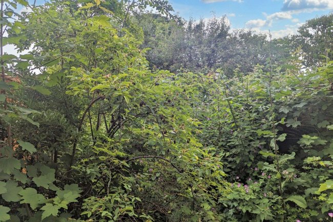 15 Moffat Road, Thornton Heath, CR7 8PY 6