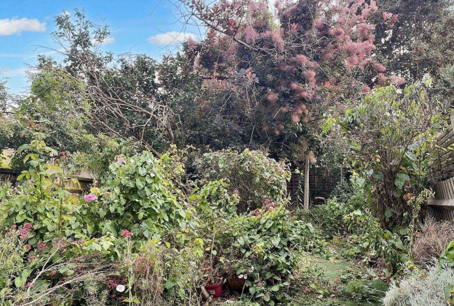 Ground Floor Flat,101 Putney Bridge Road, Putney, London SW15 2PA 9