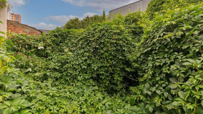 Flat A, 62 Tudor Road, Upton Park, London, E6 1DR 10