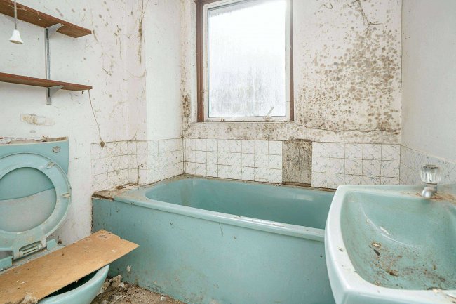 12 Saville Gardens, Billingshurst, West Sussex, RH14 9RR 4