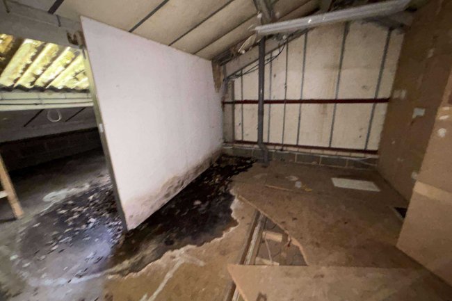 Former Scout Hall, Land at Court Farm Road, Mottingham, SE9 4JW 9