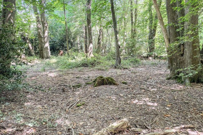 Land lying to the North East of Normans Lane, Welwyn (known as The Basil Leakey Reserve) 9