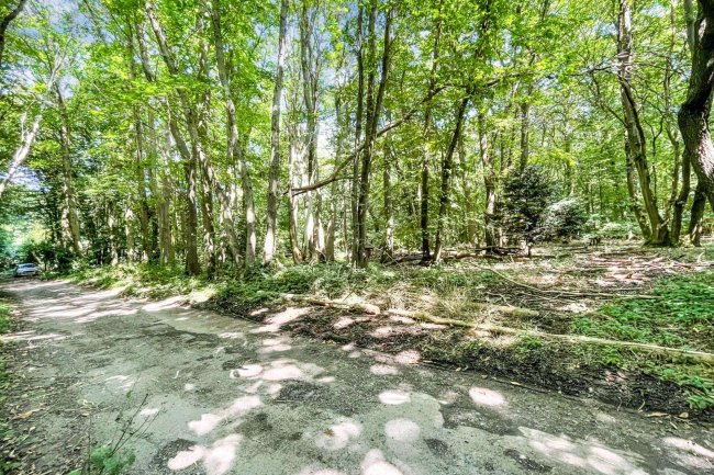 Land lying to the North East of Normans Lane, Welwyn (known as The Basil Leakey Reserve) 9