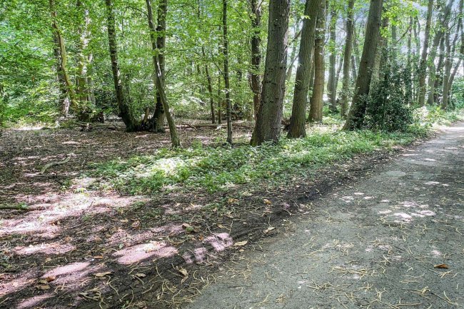 Land lying to the North East of Normans Lane, Welwyn (known as The Basil Leakey Reserve) 9