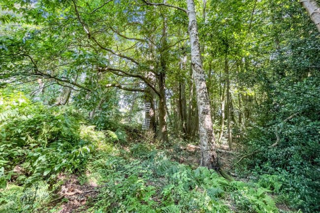 Land lying to the North East of Normans Lane, Welwyn (known as The Basil Leakey Reserve) 9