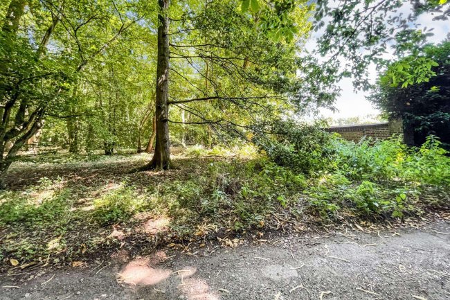 Land lying to the North East of Normans Lane, Welwyn (known as The Basil Leakey Reserve) 9