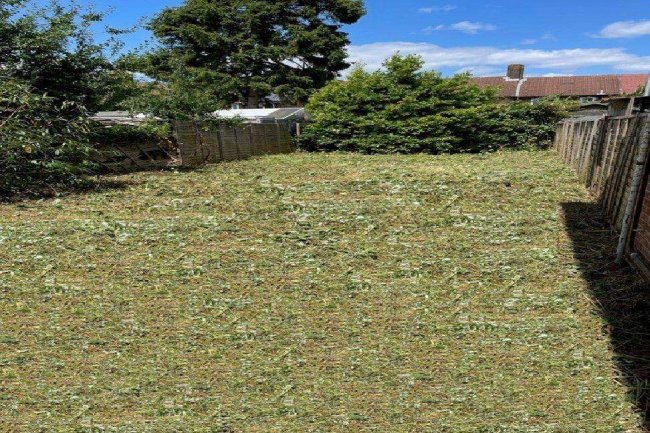 Land at 21 Neath Gardens, Morden, Surrey, SM4 6JN 3