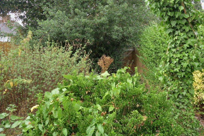 33 Oakhouse Road, Bexleyheath, Kent, DA6 7NA 3