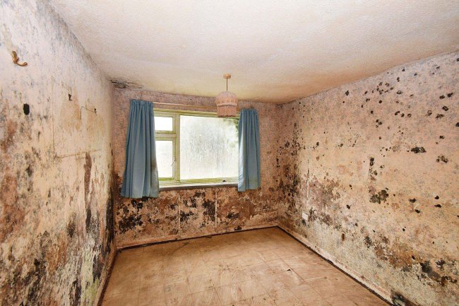 19 Lewis Road, Chipping Norton, Oxfordshire, OX7 5JT 3