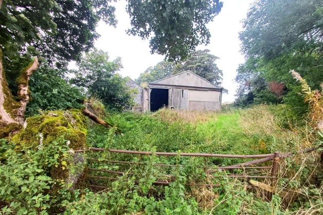 Needham Grange Farm, Earl Sterndale, Buxton, SK17 0DD 3