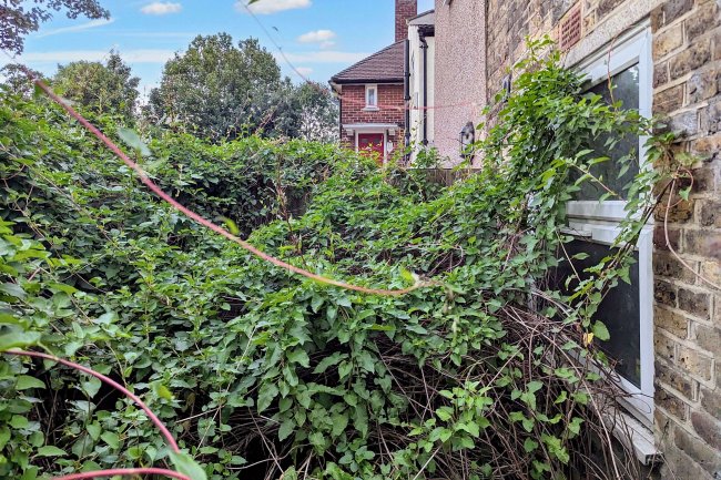 6 Parish Lane, Penge, London SE20 7LH 4