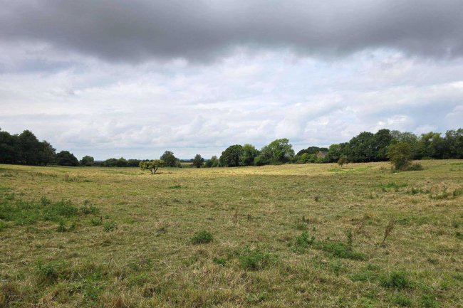 Pasture Land Sutton, Bury Lane, Ely, Cambridgeshire CB6 2BB 4