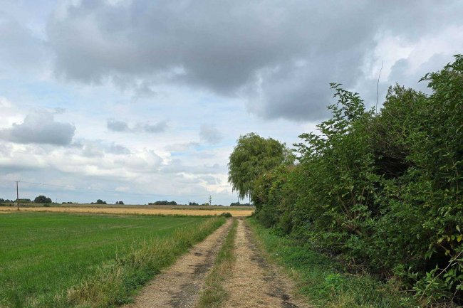 Land at Sutton, Ely, Cambridgeshire CB6 2BB 5