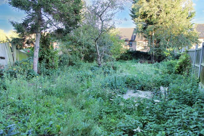 37 Willow Avenue, Faversham, Kent  ME13 7NL 5