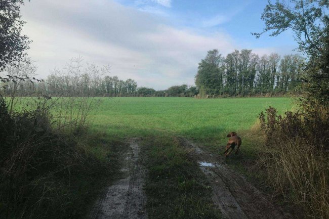 Barn and Land at Middle Amble, Chapel Amble, Wadebridge, Cornwall PL27 6EW 10