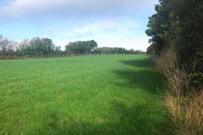 Barn and Land at Middle Amble, Chapel Amble, Wadebridge, Cornwall PL27 6EW 10