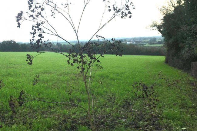 Barn and Land at Middle Amble, Chapel Amble, Wadebridge, Cornwall PL27 6EW 10