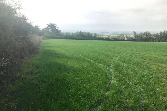 Barn and Land at Middle Amble, Chapel Amble, Wadebridge, Cornwall PL27 6EW 10