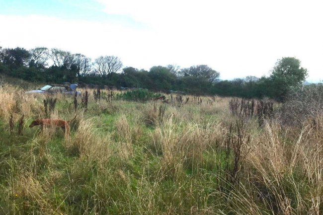 Barn and Land at Middle Amble, Chapel Amble, Wadebridge, Cornwall PL27 6EW 10