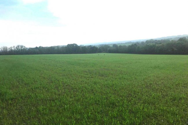 Barn and Land at Middle Amble, Chapel Amble, Wadebridge, Cornwall PL27 6EW 10