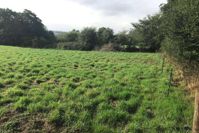 Barn and Land at Middle Amble, Chapel Amble, Wadebridge, Cornwall PL27 6EW 10