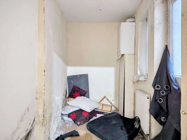 Garden Flat, 31 Thurlow Park Road, Lambeth, London, SE21 8JP 8