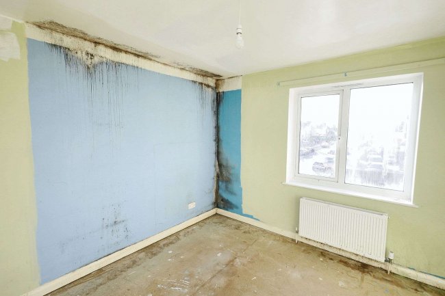 Flat 4 Michelle House, Sinclair Grove, London NW11 9JG 6