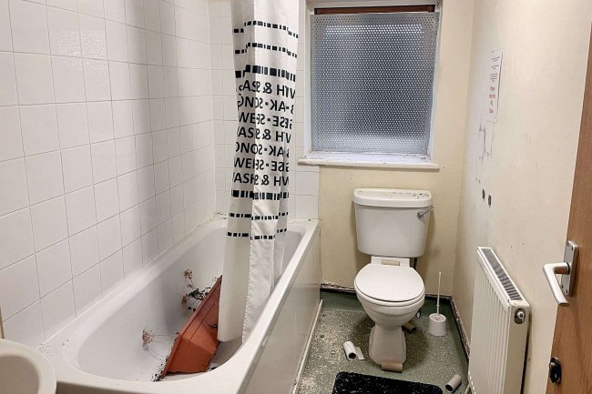 25 Whitworth Road, South Norwood, SE25 6XQ 10