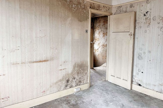 406 Hanworth Road, Hounslow TW3 3SN 2