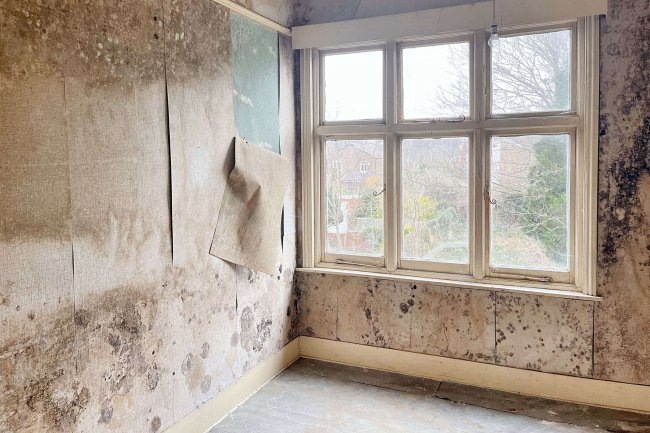 406 Hanworth Road, Hounslow TW3 3SN 2