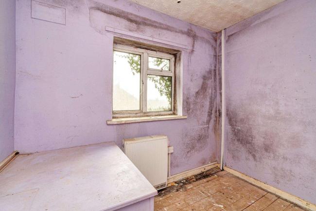 2 Well Green, Frettenham, Norwich NR12 7LS 8