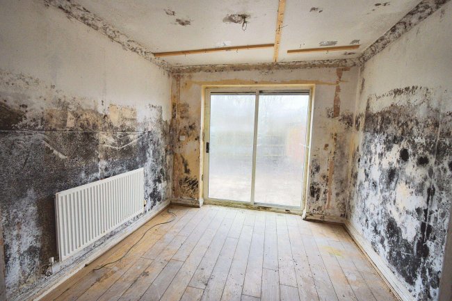 19 Ashfords Close, Saxmundham, Suffolk, IP17 1WB 8