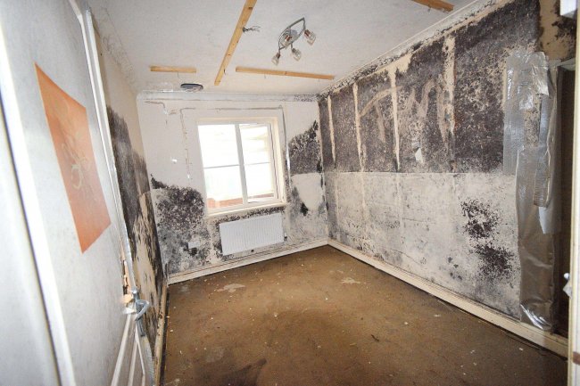 19 Ashfords Close, Saxmundham, Suffolk, IP17 1WB 8