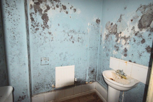 19 Ashfords Close, Saxmundham, Suffolk, IP17 1WB 8