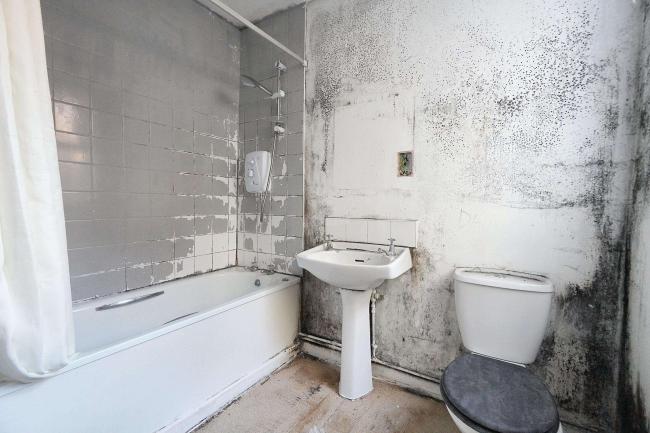 19 Freehold Street, Liverpool, L7 0JH 6