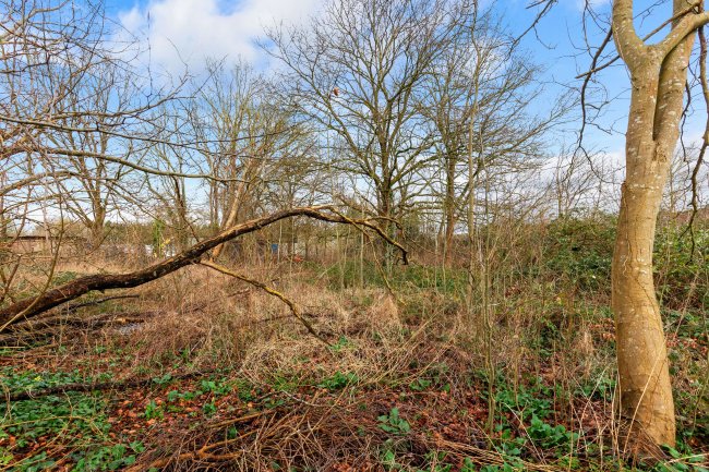 Clockhouse Mushrooms, Clockhouse Lane East, Egham, Surrey, TW20 8PF 5