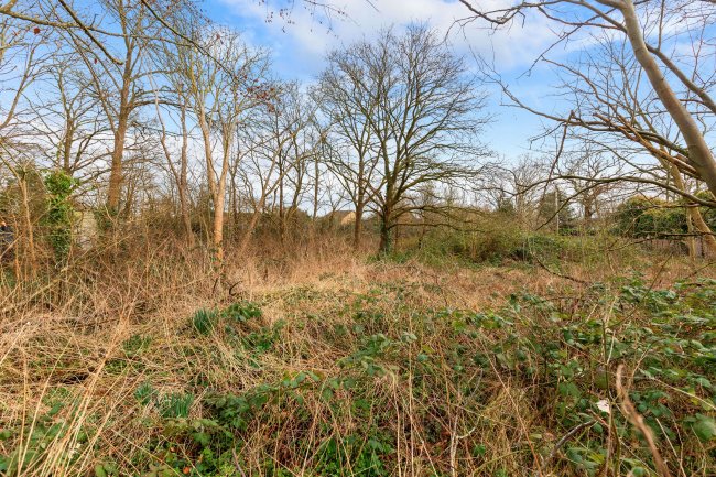 Clockhouse Mushrooms, Clockhouse Lane East, Egham, Surrey, TW20 8PF 5