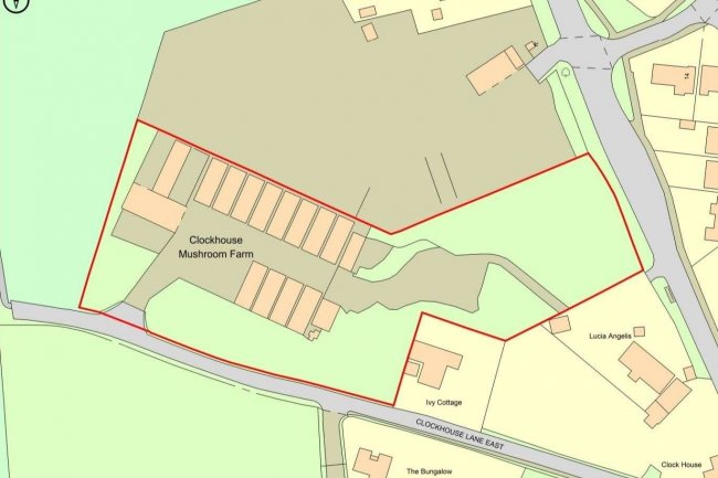 Clockhouse Mushrooms, Clockhouse Lane East, Egham, Surrey, TW20 8PF 5