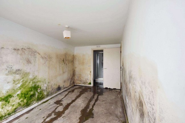 Ground Floor Flat, 2 Priory Mews, Station Avenue, Prittlewell, Southend On Sea, Essex SS2 5ED 5