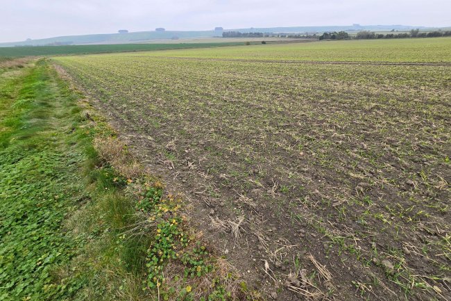 Hackpen Hill, Broad Hinton , Swindon SN4 9NR 6