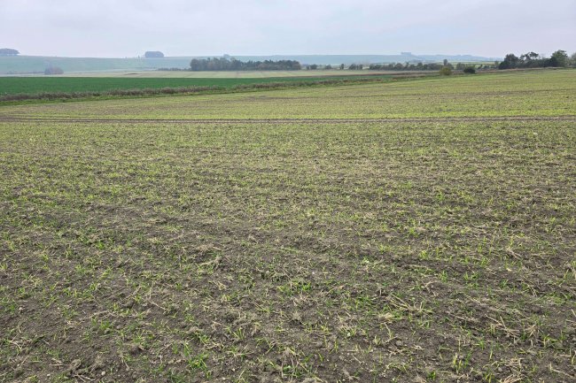 Hackpen Hill, Broad Hinton , Swindon SN4 9NR 6