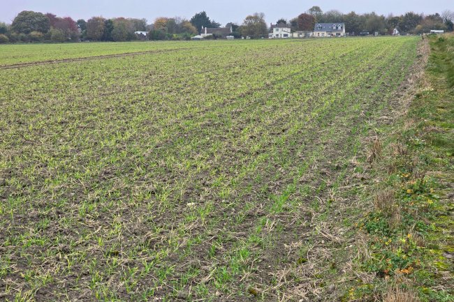 Hackpen Hill, Broad Hinton , Swindon SN4 9NR 6