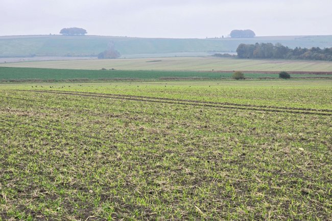 Hackpen Hill, Broad Hinton , Swindon SN4 9NR 6