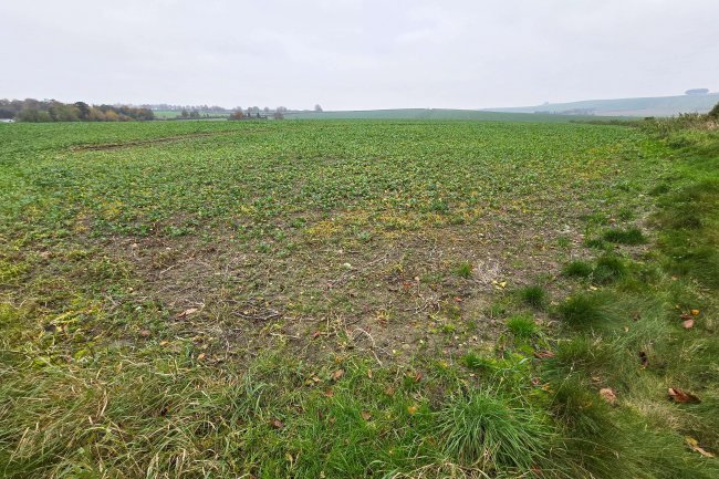 Hackpen Hill, Broad Hinton , Swindon SN4 9NR 6