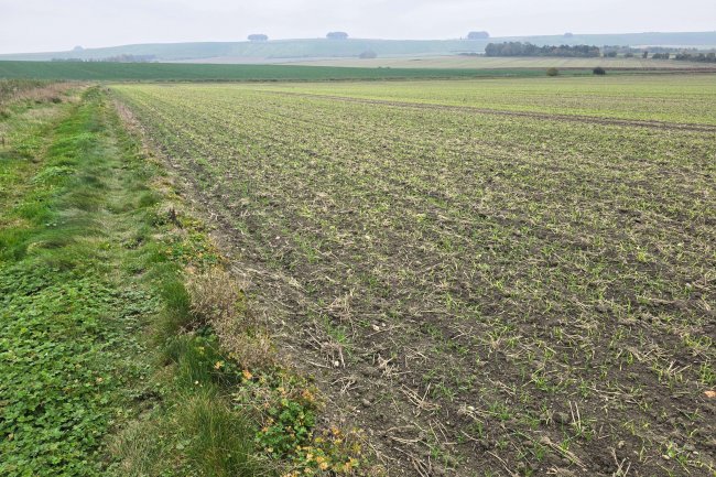 Hackpen Hill, Broad Hinton , Swindon SN4 9NR 6