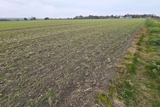 Hackpen Hill, Broad Hinton , Swindon SN4 9NR 6