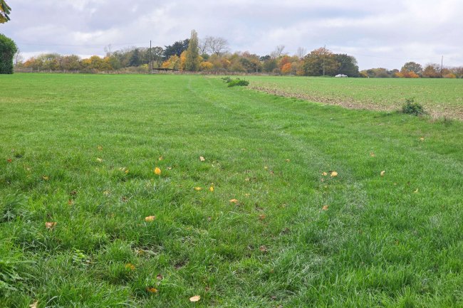 Land at Garnett’s Farm, Great Dunmow CM6 1NE 7